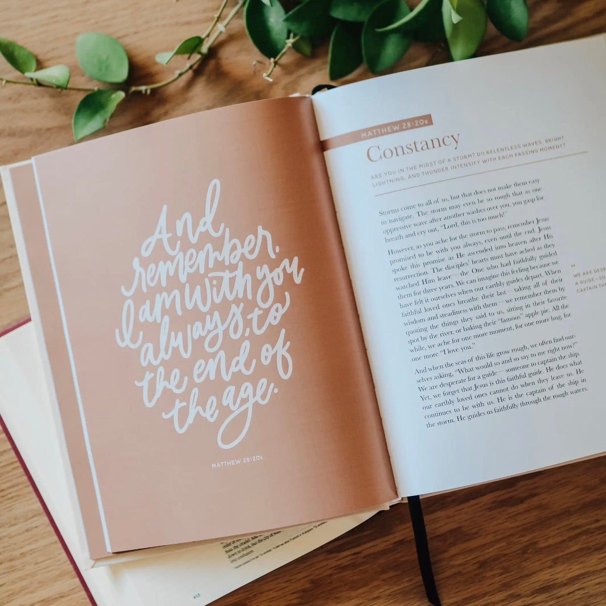Promises of God - Coffee Table Book