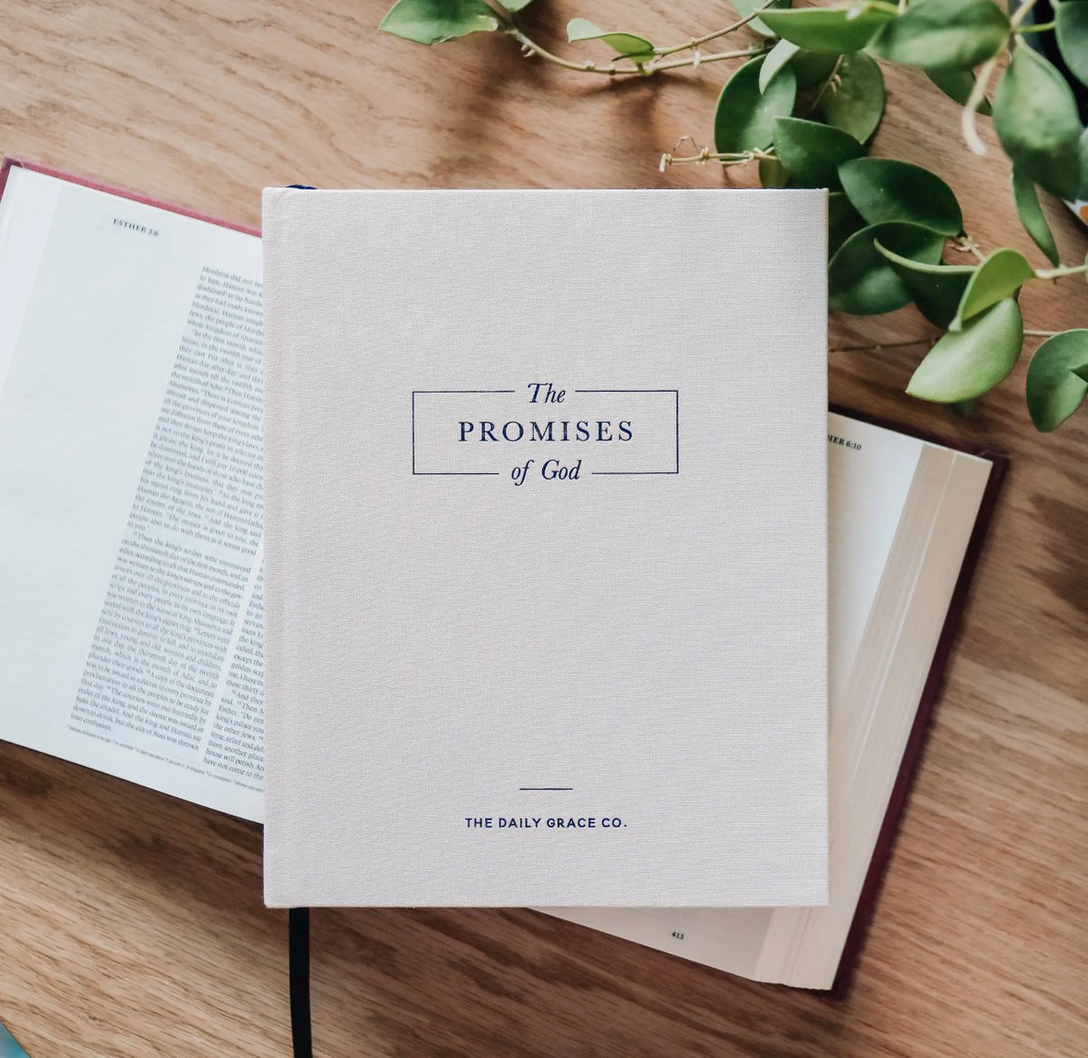 Promises of God - Coffee Table Book