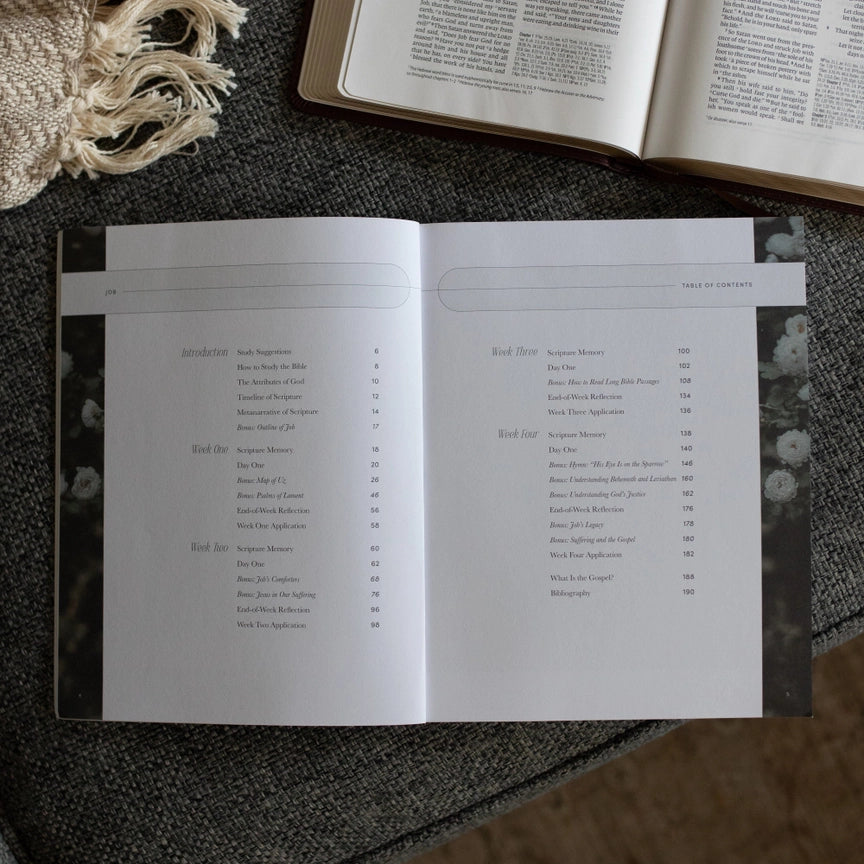 Job Bible Study